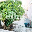 Prédio Urbano em Caldas da Rainha