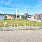 Lote 11