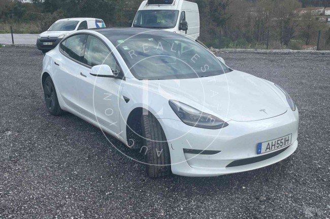 Tesla Model 3 PERFORMANCE