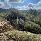 Terreno Rústico em Ourém