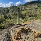 Terreno Rústico em Ourém