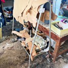 Insolvência de IOGA – Indústrias de Calçado, Lda