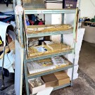 Insolvência de IOGA – Indústrias de Calçado, Lda