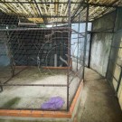 2 Apartamentos e Garagem com Logradouro