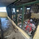 2 Apartamentos e Garagem com Logradouro