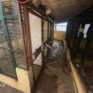 2 Apartamentos e Garagem com Logradouro