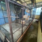 2 Apartamentos e Garagem com Logradouro