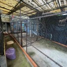 2 Apartamentos e Garagem com Logradouro