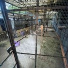 2 Apartamentos e Garagem com Logradouro