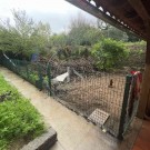 2 Apartamentos e Garagem com Logradouro